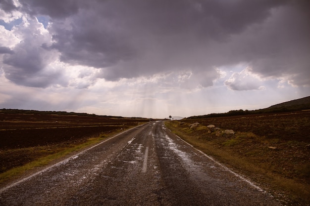 Road in the middle of dry grassy fields on a cloudy day