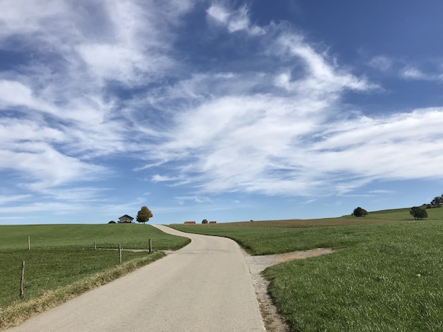 Road in the middle of grassy fields under a blue cloudy sky