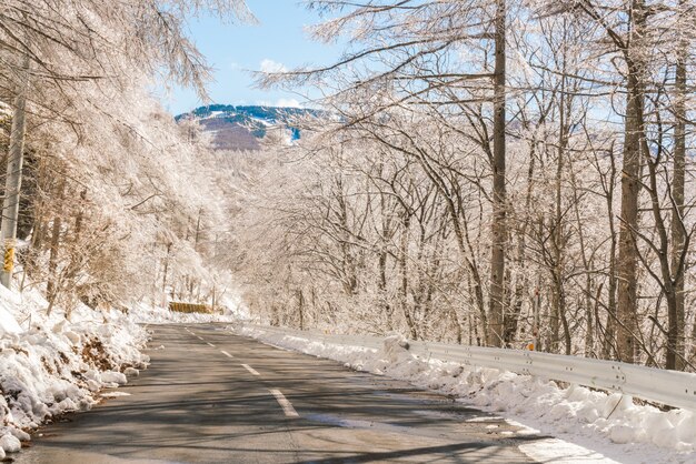 Дорога в горы зимой (Япония)