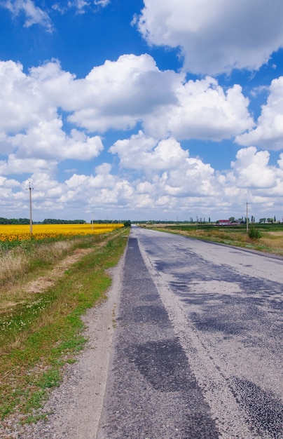 自然の風景の中の道