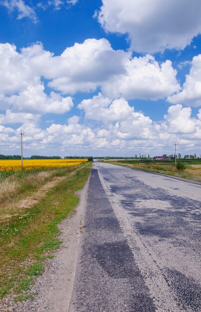 自然の風景の中の道