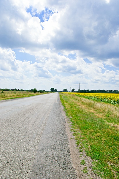 Free photo road in a natural landscape