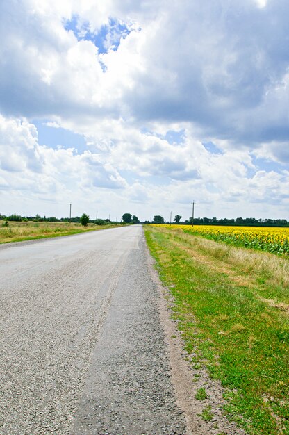 road in a natural landscape