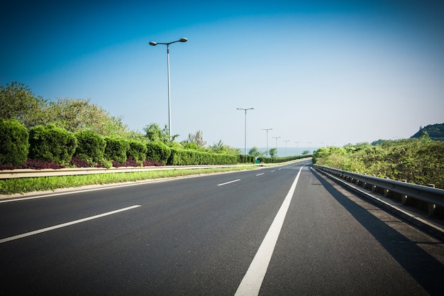 ロシアの森の道路