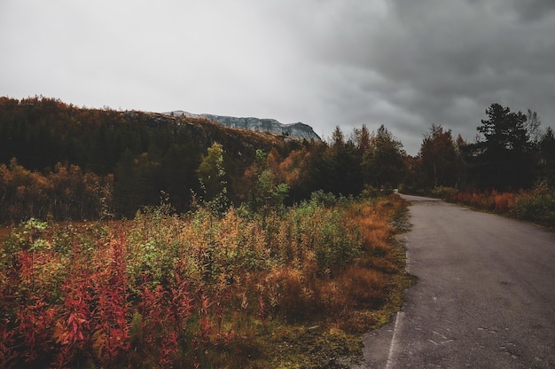 Road to scandinavian mountains at breathtaking national park on gloomy autumn day.