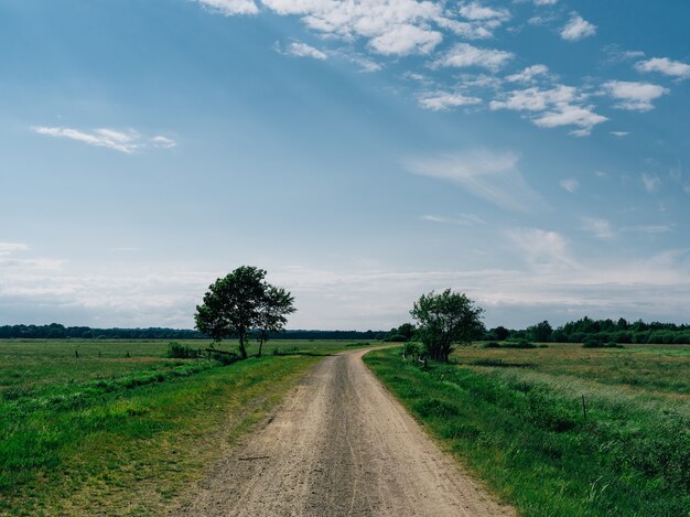 Road surrounded by field covered in greenery under a blue sky in Teufelsmoor