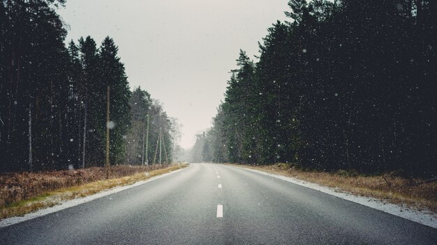 Road surrounded by forests and dry grass covered in snowflakes during winter
