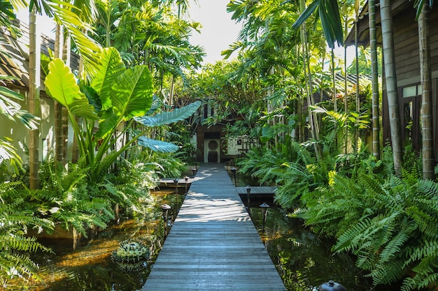 Road surrounded with green tropical trees leading to a hotel