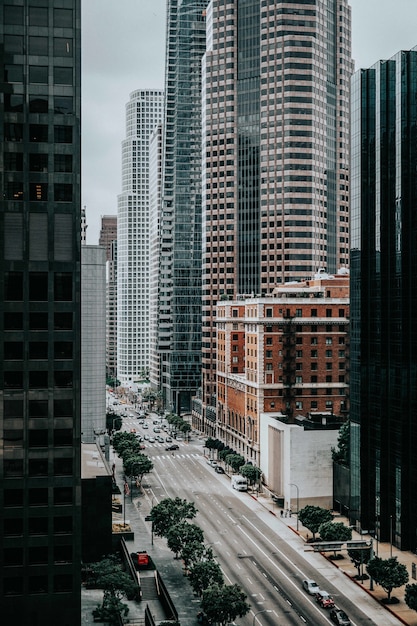 Road in between tall buildings