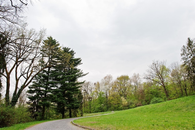 Road through landscape with fresh green trees in early spring on cloudy day