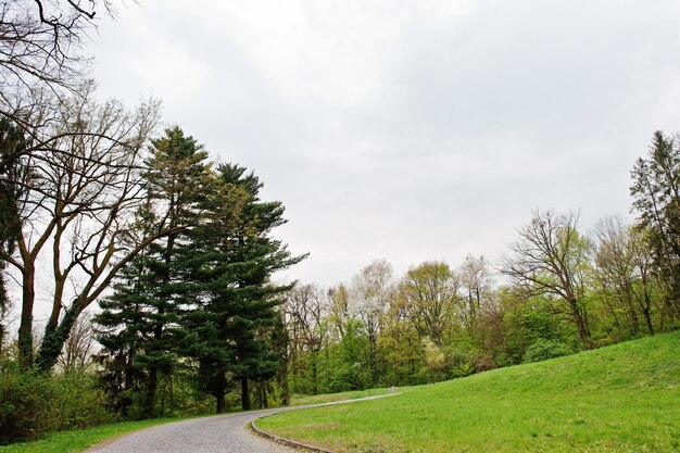 曇りの日の春先に新緑の木々のある風景を通り抜ける道