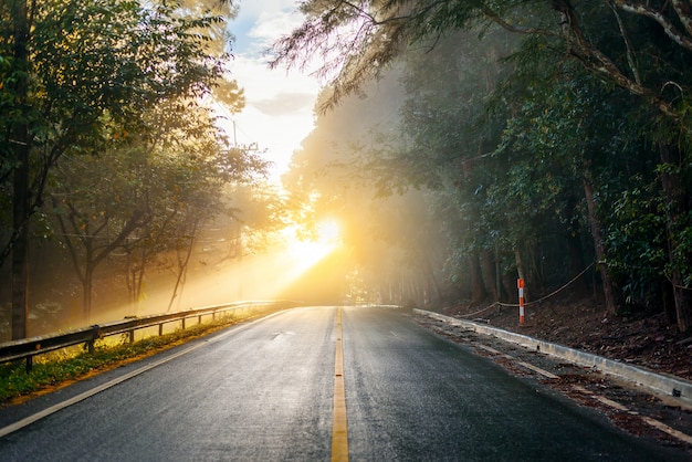 Дорога через осенний лес на туманное утро с солнечными лучами
