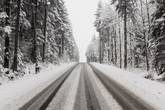 Дорога через зимний лес