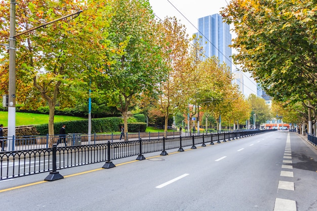 road and trees