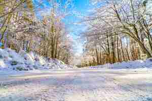 Free photo road in winter , japan