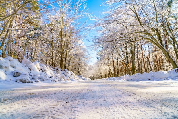 冬、日本の道路