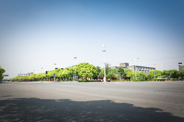 Road with trees