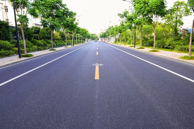 Road with trees