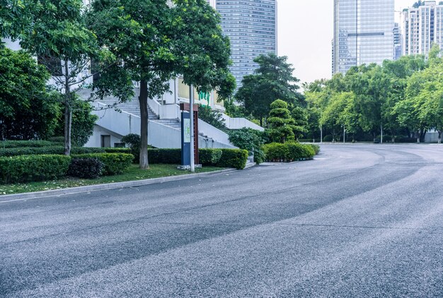 両側に木が道路を蛇行