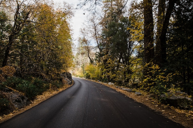 米国カリフォルニア州のヨセミテ国立公園の道路