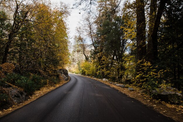미국 캘리포니아 요세미티 국립공원의 도로