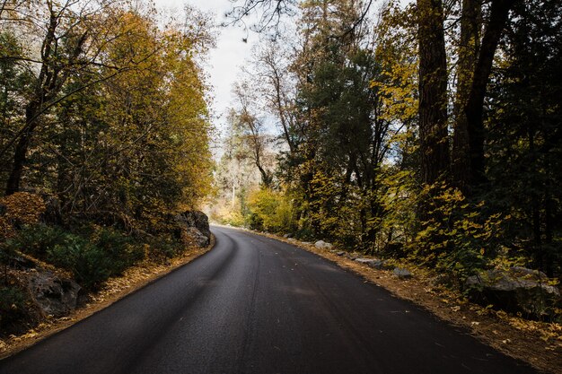 米国カリフォルニア州のヨセミテ国立公園の道路