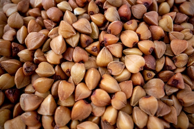 Free photo roasted nuts background