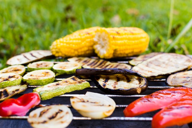 Roasted vegetables on hot grill during picnic
