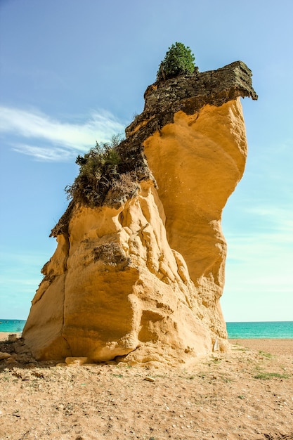 포르투갈의 바다로 둘러싸인 Albufeira 해변에서 이끼로 덮인 바위