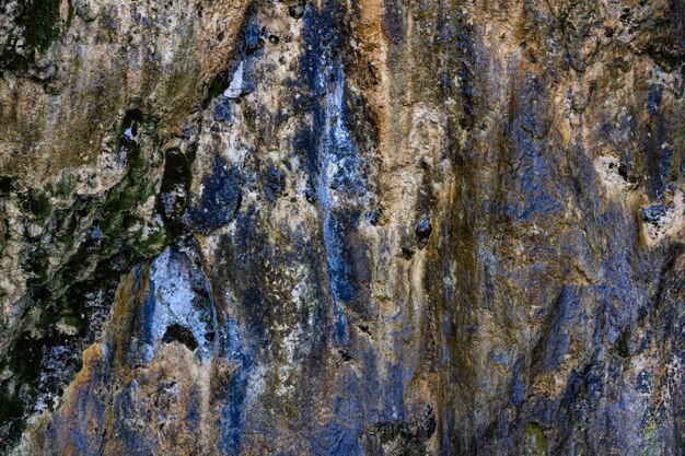 クロアチアのプリトヴィツェ湖の近くの岩の形成