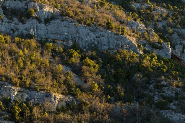 Скальные образования в горах в Истрии, Хорватия осенью
