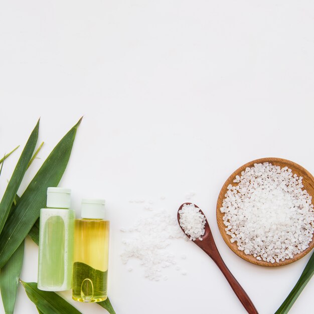 Rock salts; leaves and spray bottles on white background