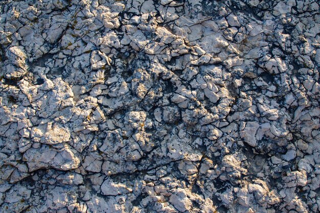 Rock texture on the coast of Kamenjak in Istria, Croatia
