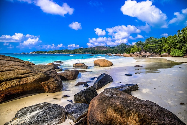 Скалы на пляже в окружении зелени и море под солнечным светом на острове Праслен на Сейшельских островах
