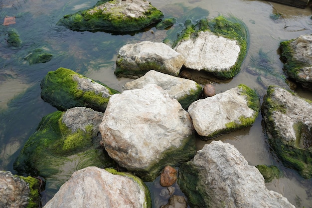 rocks covered with moss in the river