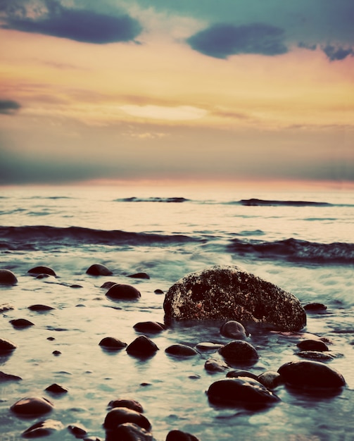 Free photo rocks in the sand