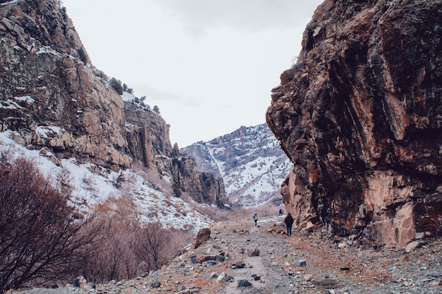 Free photo rocky snowy mountains