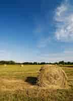 Free photo rolled hayricks