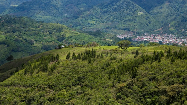 なだらかなコスタリカの丘と熱帯雨林