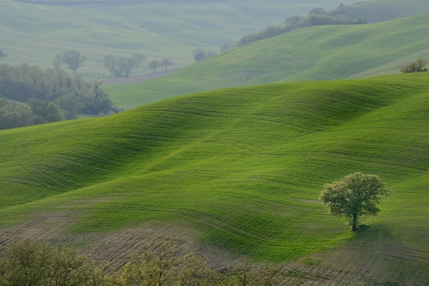 Rolling hills countryside