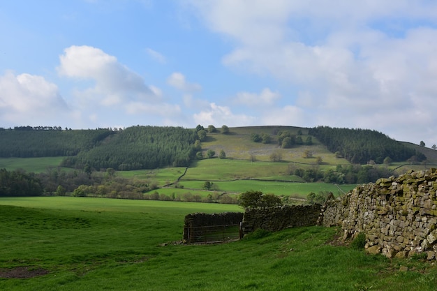 Rolling Hills with Green Pastures in the Spring