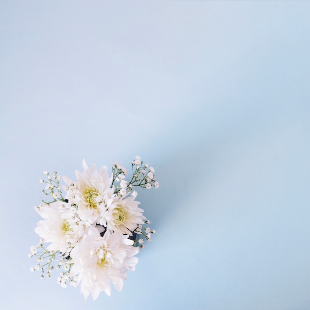 Free photo romantic composition of gentle flowers on blue