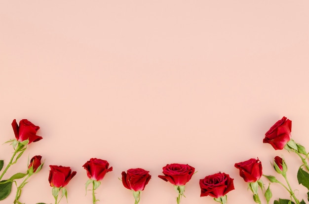 로맨틱 빨간 장미 배열 복사 공간