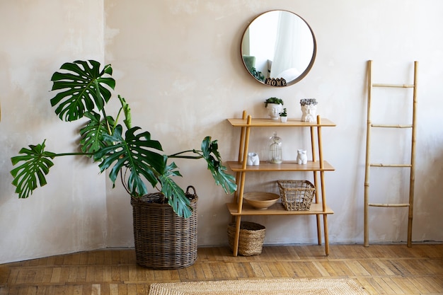 room decor with mostera plant and wooden shelf