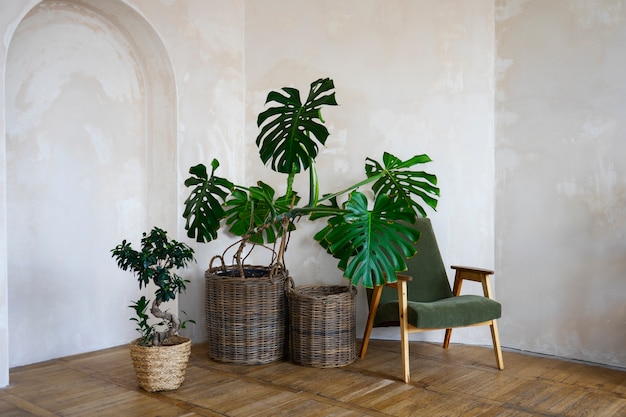 Room decor with potted monstera plant
