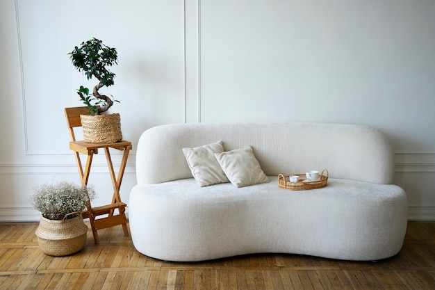 Room decor with potted plants and sofa