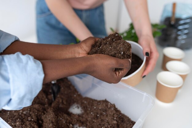 Roommates having a sustainable garden indoors