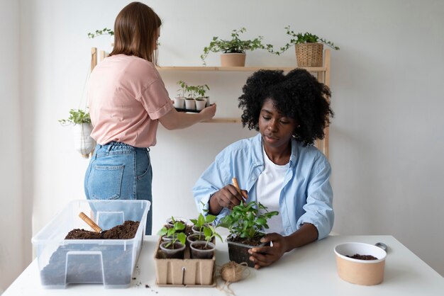 Roommates having a sustainable garden indoors