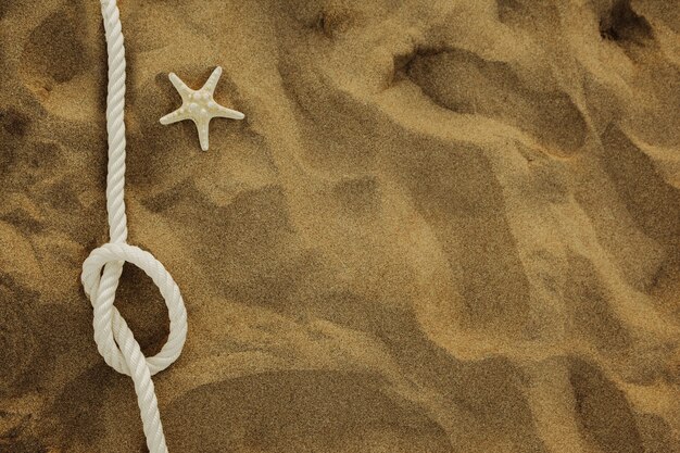 Rope and starfish on the sand