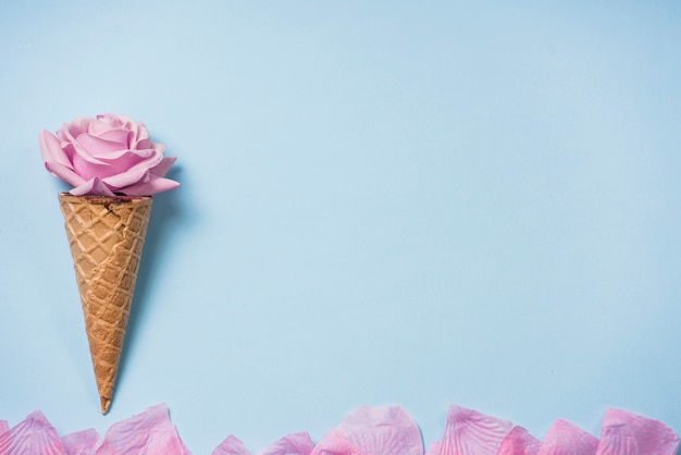 Rose bud in waffle cone on blue table